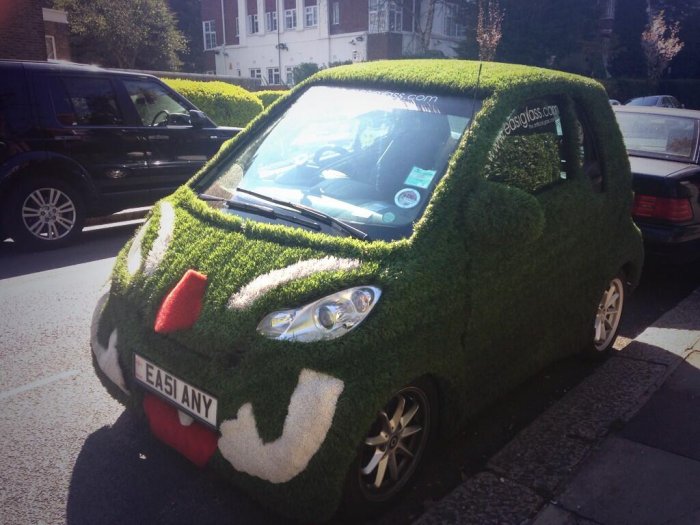 I know we've had a rainy winter & it's now sunny but not sure that explains a sprouting car? Spotted in #whamp via @EllenCPringle 