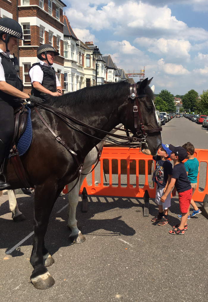 Everyone loves a police horse!