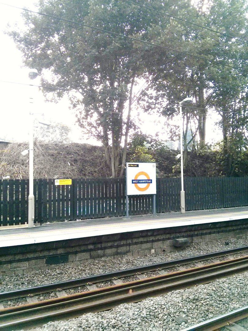 Tree debate moves to Network Rail